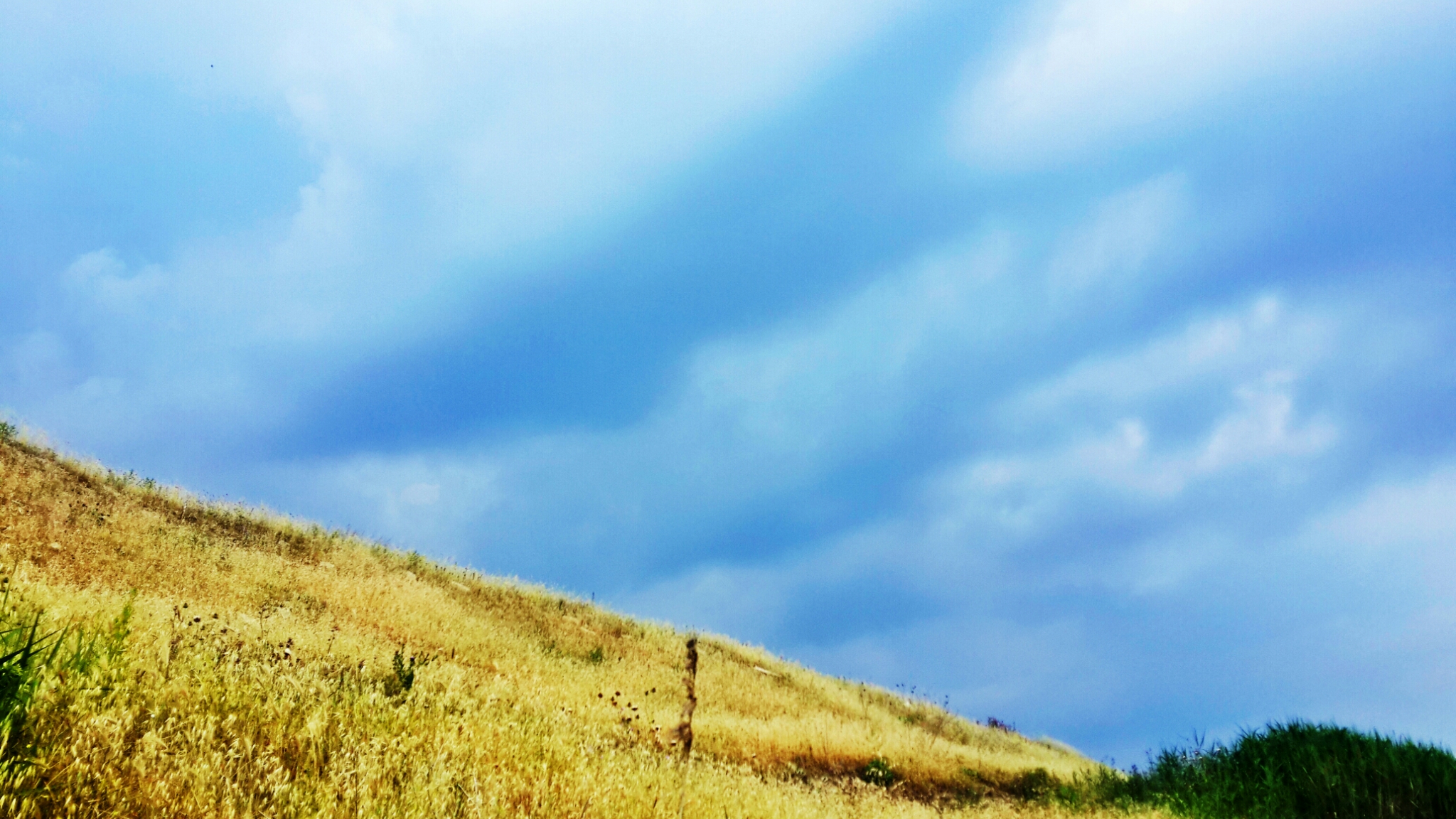 Picsart banner for @bey