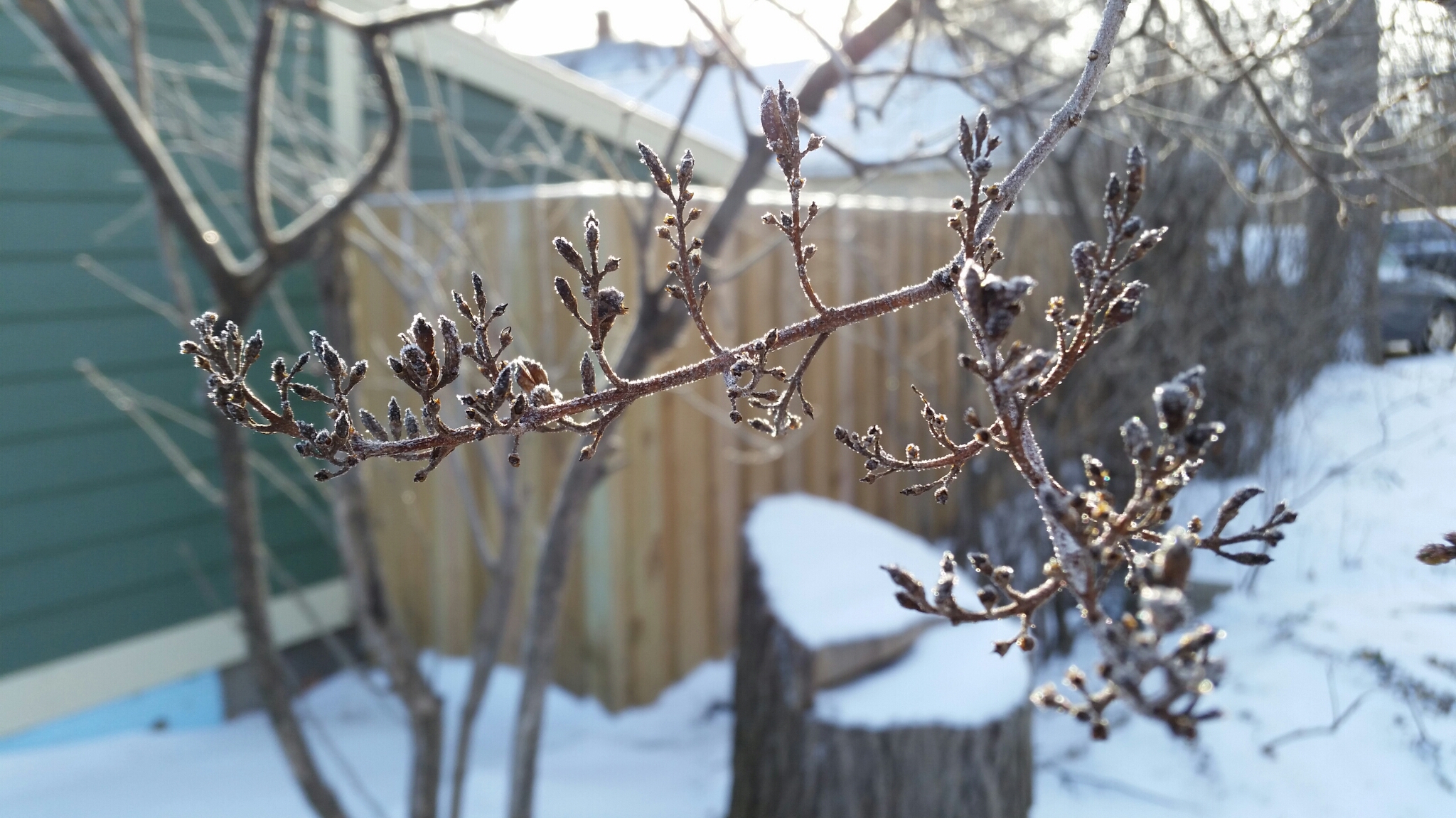 Sunny, rainy, snowy, cloudy—what's the weather like in...